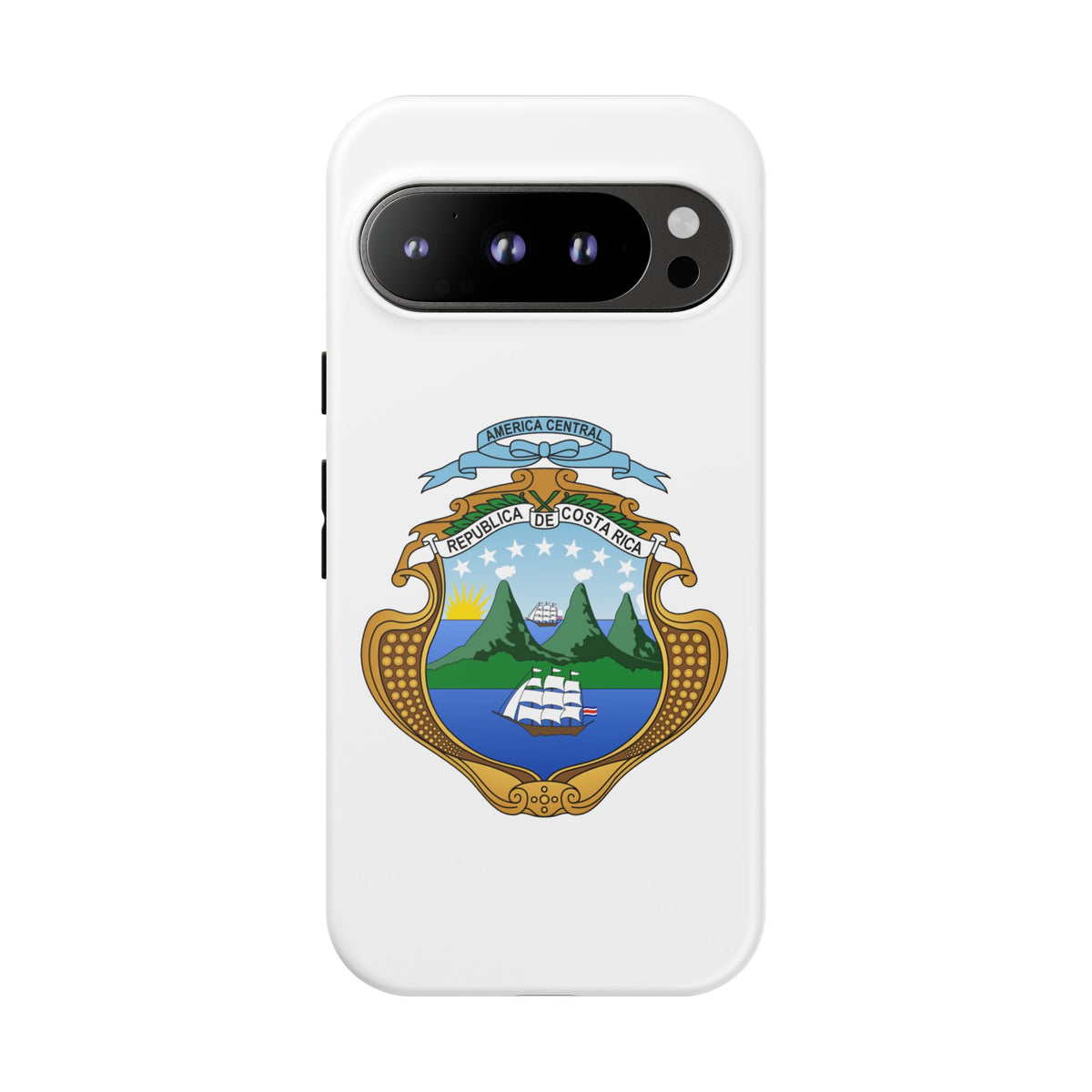 Funda para el móvil Google Pixel 9 Escudo Nacional de Costa Rica