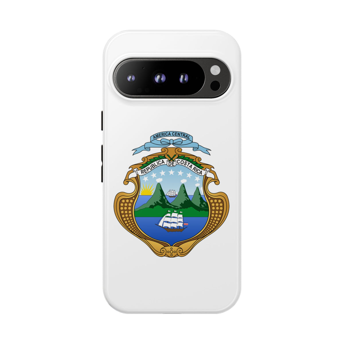 Funda para el móvil Google Pixel 9 Escudo Nacional de Costa Rica