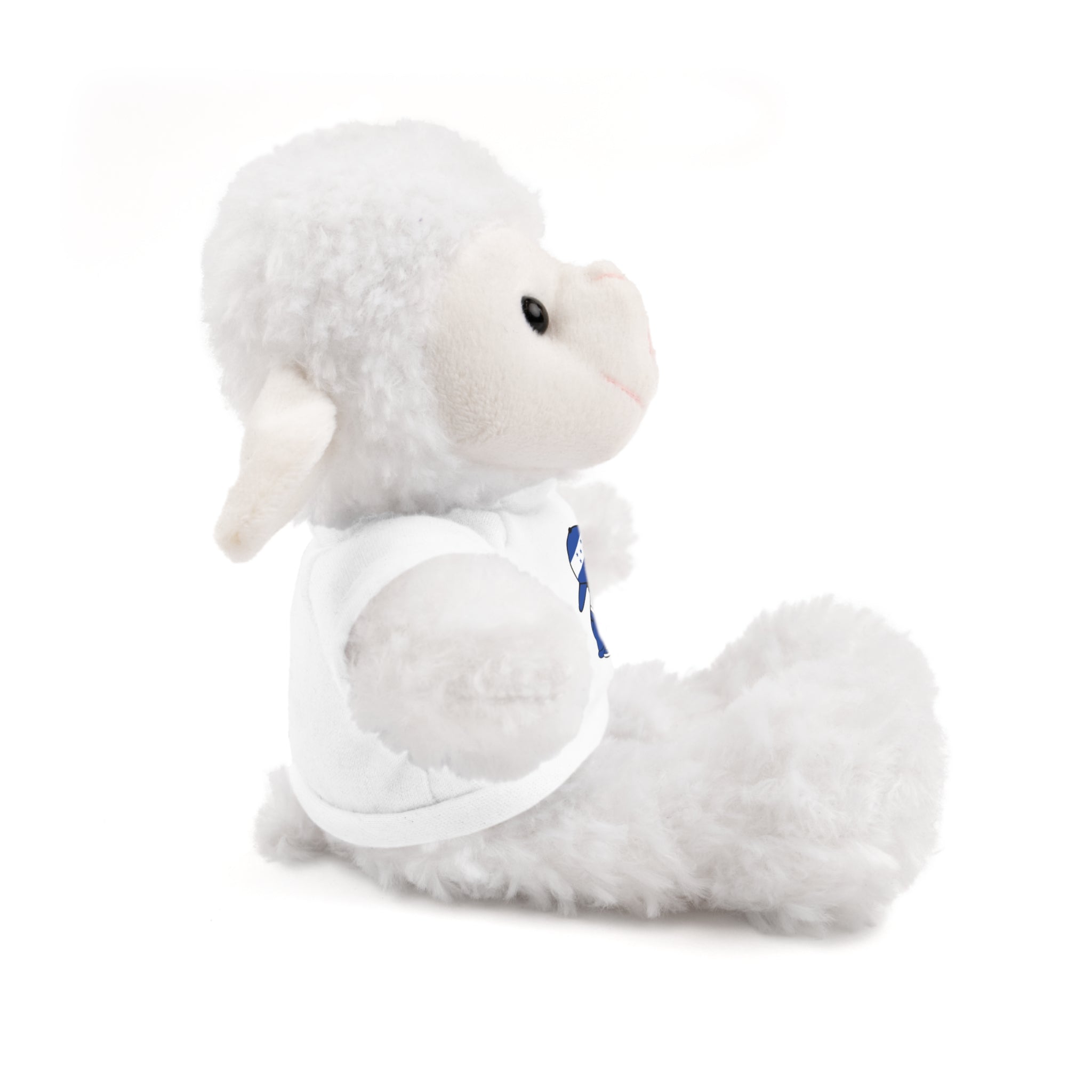 Peluche Animal Honduras El Niño Catracho Original