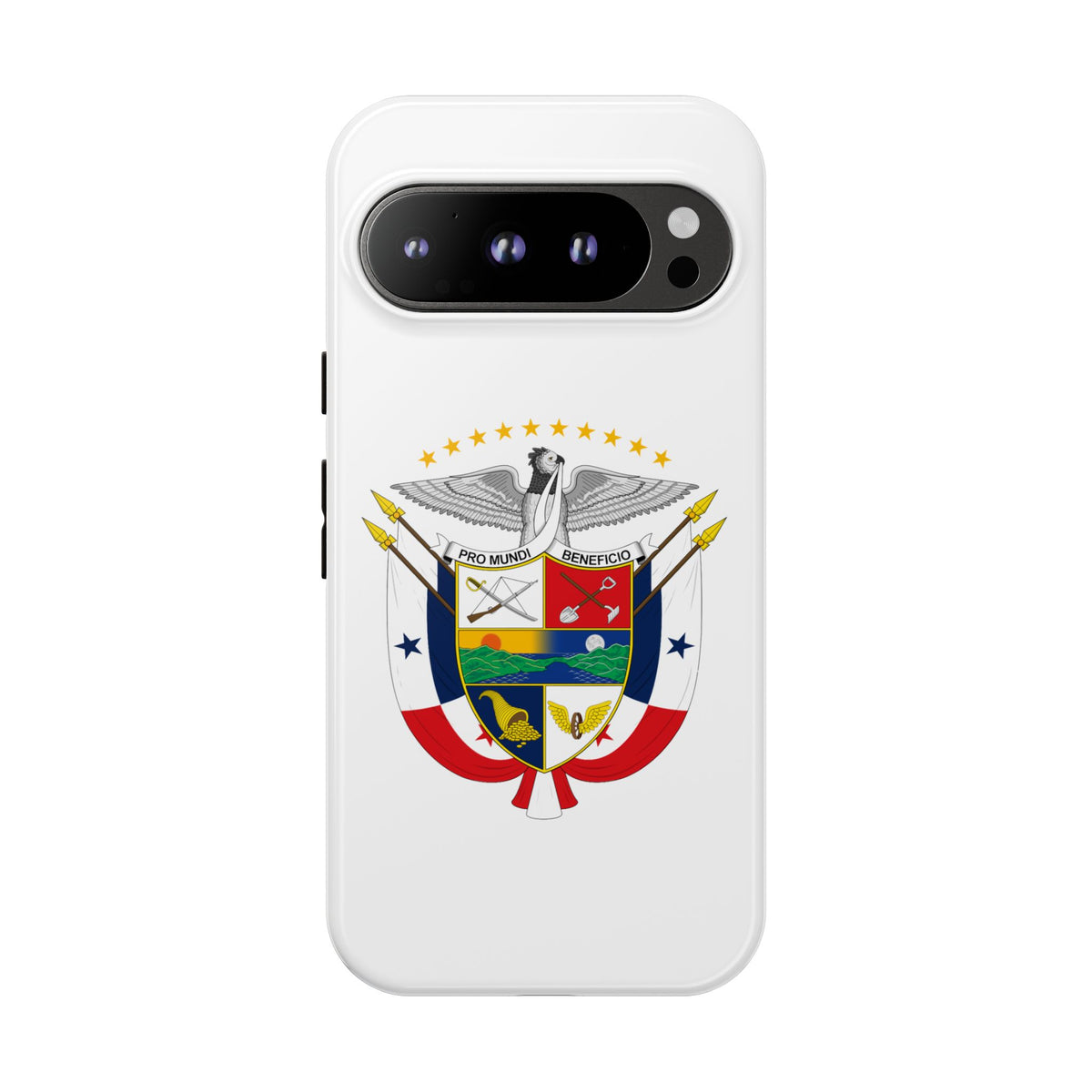 Funda para el móvil Google Pixel 9 Escudo Nacional de Panamá