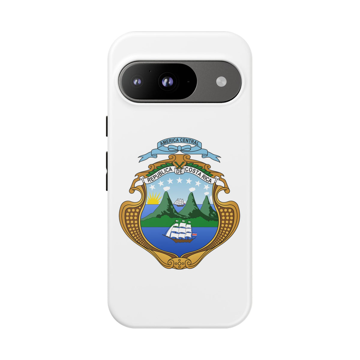 Funda para el móvil Google Pixel 9 Escudo Nacional de Costa Rica