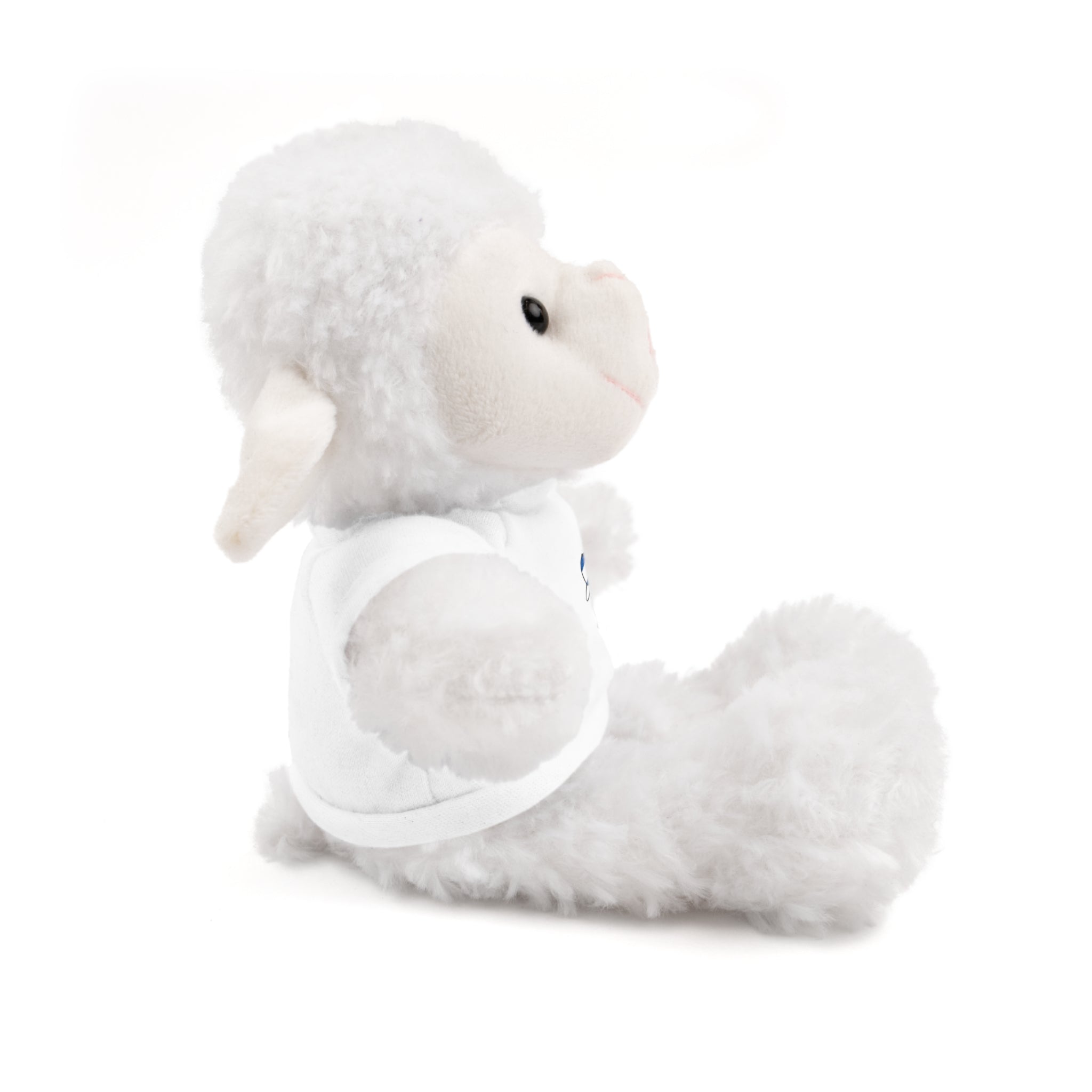 Peluche Animal Nicaragua El Niño Nico Original